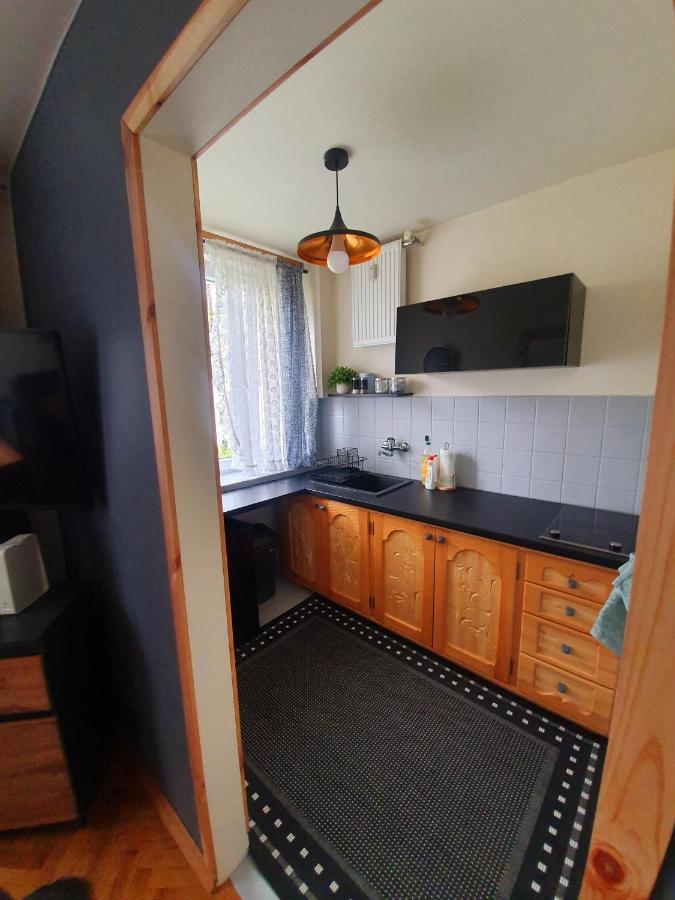 Apartament Izba W Centrum Zakopane Dış mekan fotoğraf