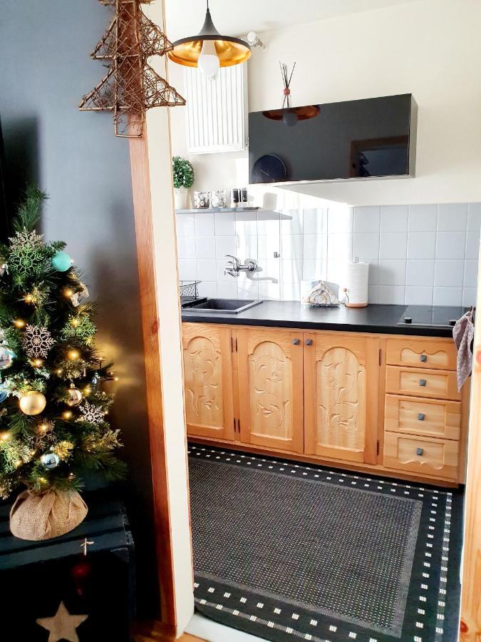 Apartament Izba W Centrum Zakopane Dış mekan fotoğraf
